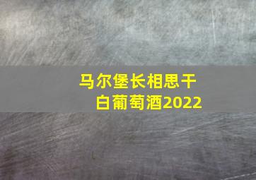 马尔堡长相思干白葡萄酒2022