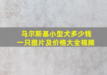 马尔斯基小型犬多少钱一只图片及价格大全视频