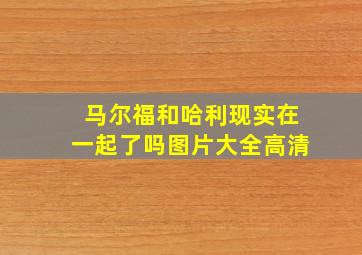 马尔福和哈利现实在一起了吗图片大全高清