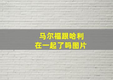 马尔福跟哈利在一起了吗图片