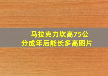 马拉克力坎高75公分成年后能长多高图片