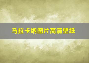 马拉卡纳图片高清壁纸