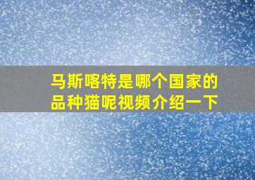 马斯喀特是哪个国家的品种猫呢视频介绍一下