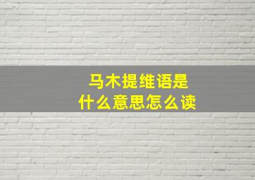 马木提维语是什么意思怎么读