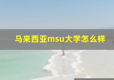 马来西亚msu大学怎么样