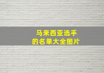 马来西亚选手的名单大全图片