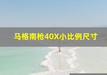 马格南枪40X小比例尺寸