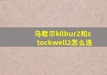 马歇尔kilbur2和stockwell2怎么选