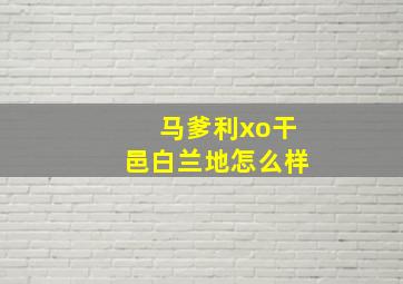 马爹利xo干邑白兰地怎么样