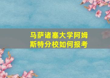 马萨诸塞大学阿姆斯特分校如何报考