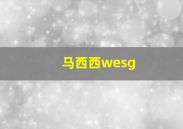 马西西wesg