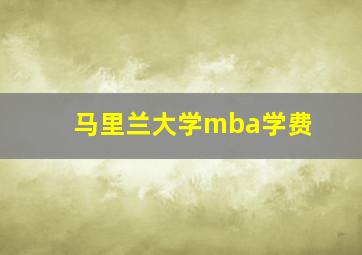 马里兰大学mba学费