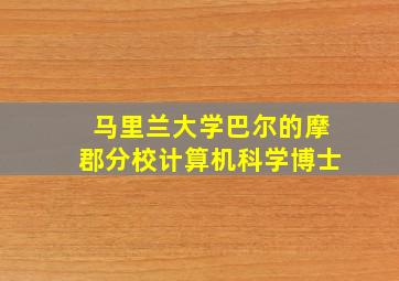 马里兰大学巴尔的摩郡分校计算机科学博士