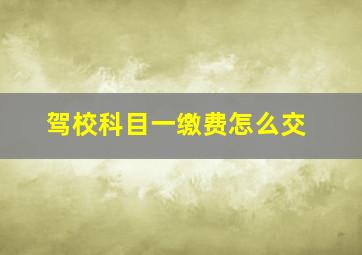 驾校科目一缴费怎么交