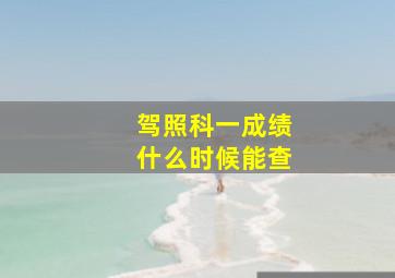 驾照科一成绩什么时候能查