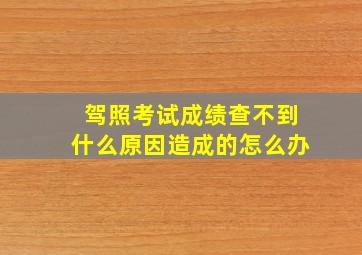 驾照考试成绩查不到什么原因造成的怎么办