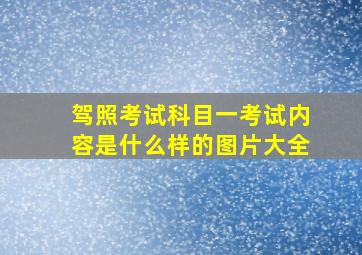 驾照考试科目一考试内容是什么样的图片大全