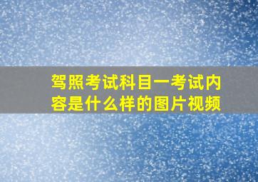 驾照考试科目一考试内容是什么样的图片视频