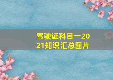 驾驶证科目一2021知识汇总图片