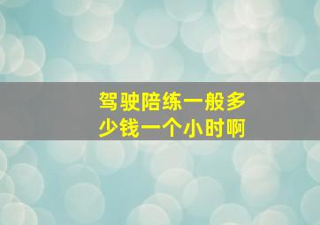 驾驶陪练一般多少钱一个小时啊