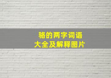 骆的两字词语大全及解释图片