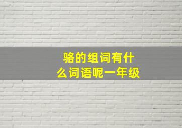 骆的组词有什么词语呢一年级