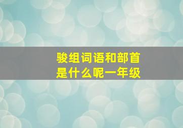 骏组词语和部首是什么呢一年级