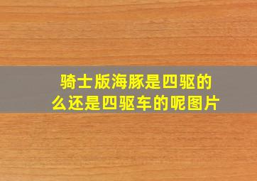 骑士版海豚是四驱的么还是四驱车的呢图片