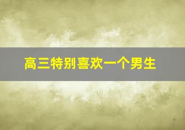 高三特别喜欢一个男生