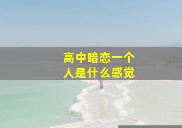 高中暗恋一个人是什么感觉