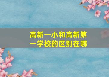 高新一小和高新第一学校的区别在哪