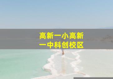 高新一小高新一中科创校区