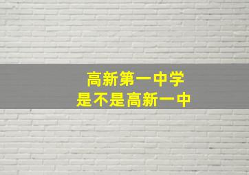 高新第一中学是不是高新一中