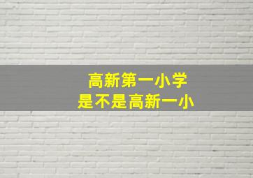 高新第一小学是不是高新一小