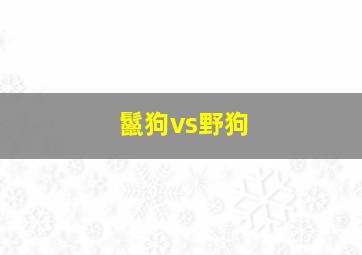 鬣狗vs野狗