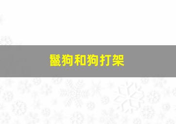 鬣狗和狗打架