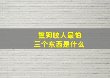 鬣狗咬人最怕三个东西是什么