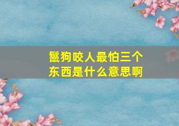 鬣狗咬人最怕三个东西是什么意思啊