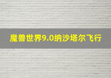 魔兽世界9.0纳沙塔尔飞行