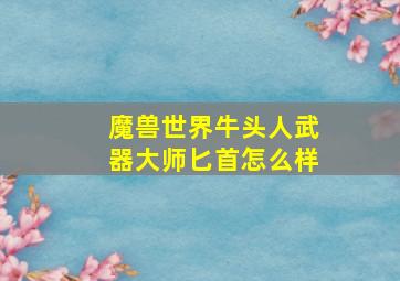 魔兽世界牛头人武器大师匕首怎么样