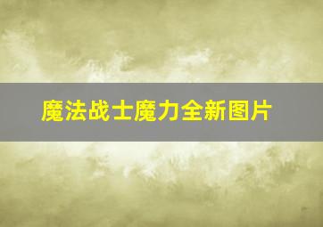 魔法战士魔力全新图片