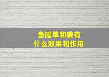 鱼腥草和姜有什么效果和作用