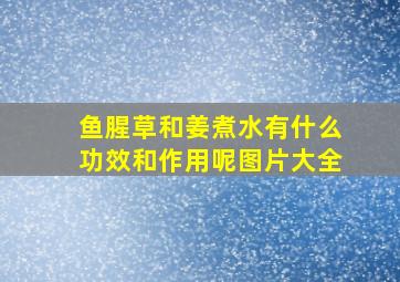 鱼腥草和姜煮水有什么功效和作用呢图片大全