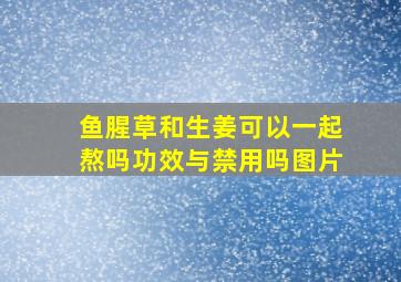 鱼腥草和生姜可以一起熬吗功效与禁用吗图片