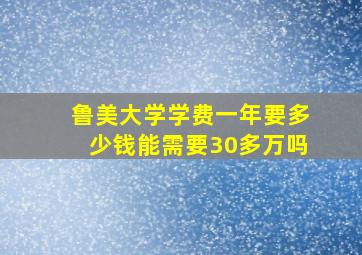 鲁美大学学费一年要多少钱能需要30多万吗