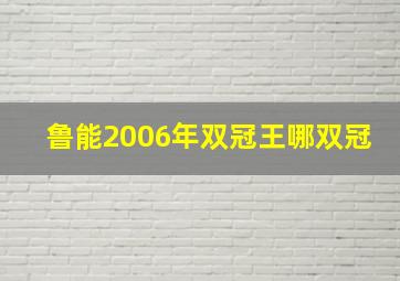 鲁能2006年双冠王哪双冠