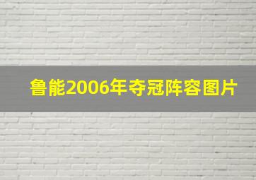 鲁能2006年夺冠阵容图片