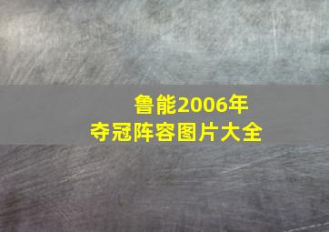 鲁能2006年夺冠阵容图片大全