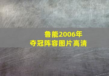 鲁能2006年夺冠阵容图片高清