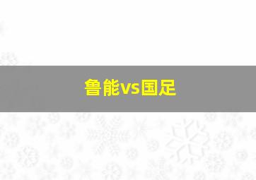 鲁能vs国足